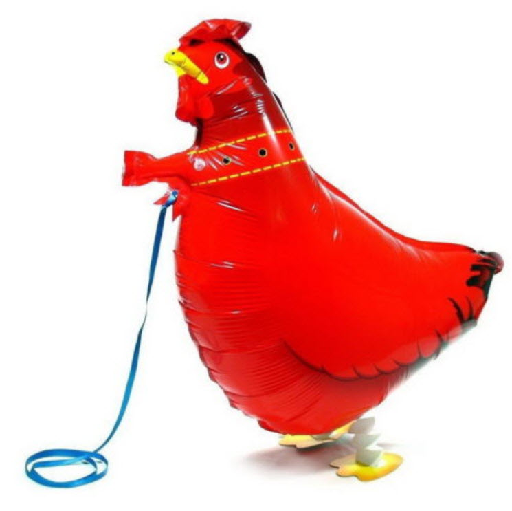 ลูกโป่งฟอยล์ ไก่เดินได้ ขนาด 22 นิ้ว / ตัว (นอก)
