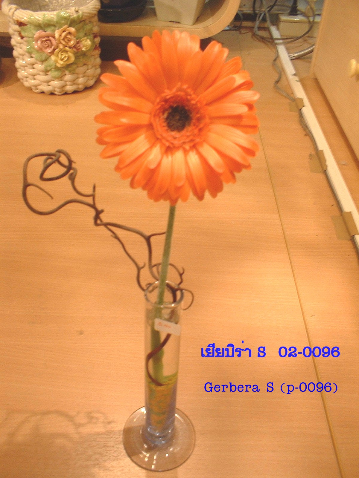Gerbera (small)