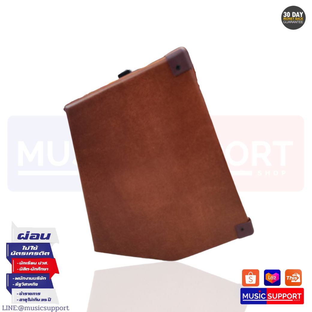 Penny Dollar PAG-15 แอมป์กีตาร์โปร่ง