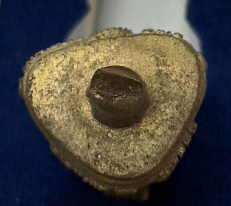 หลวงปู่แผ้ว ปวโร รูปหล่อโบราณ ไม่ตัดเดือย ปี 2554