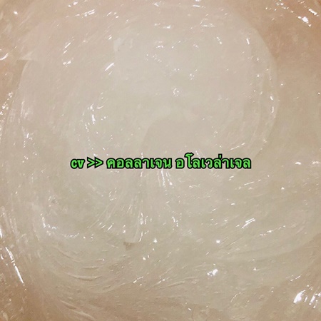 เจลว่านหางจระเข้ผสมคอลลาเจน สูตรความเข้มข้น 3 ระดับ ขนาด 100 g