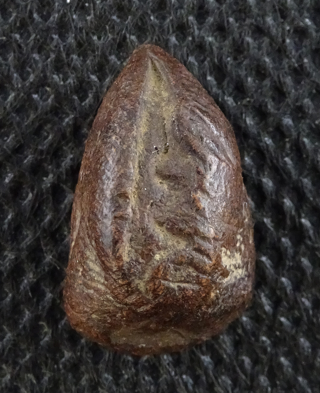 พระเม็ดน้อยหน่า หลังยันต์ อยุธยา