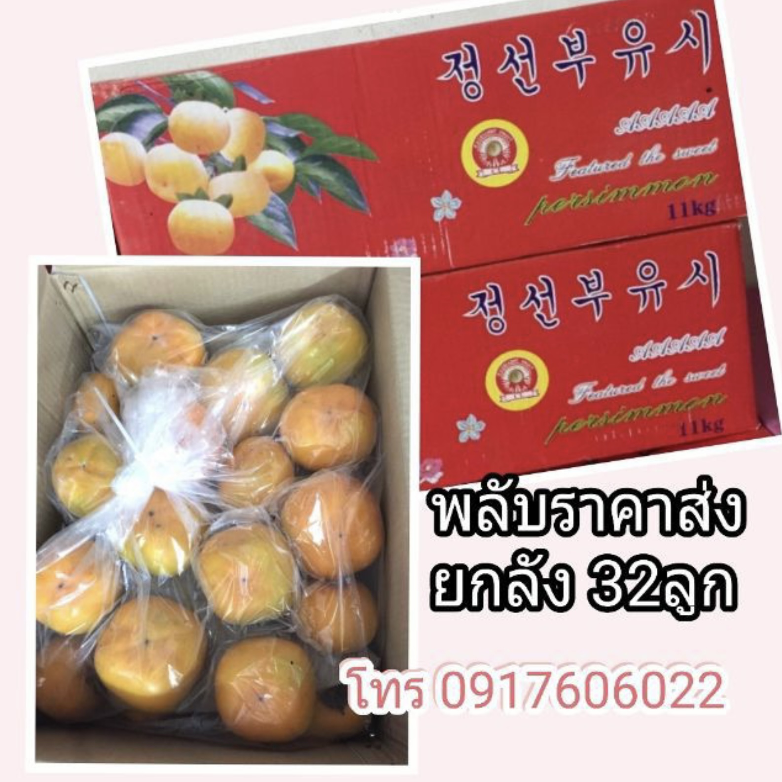พลับเกาหลี พลับญี่ปุ่น พลับแห้ง ลูกพลับ ลูกพลับสด พลับสด ลูกพลับเกาหลี พลับราคาส่ง ขายส่งลูกพลับ พลับอร่อย