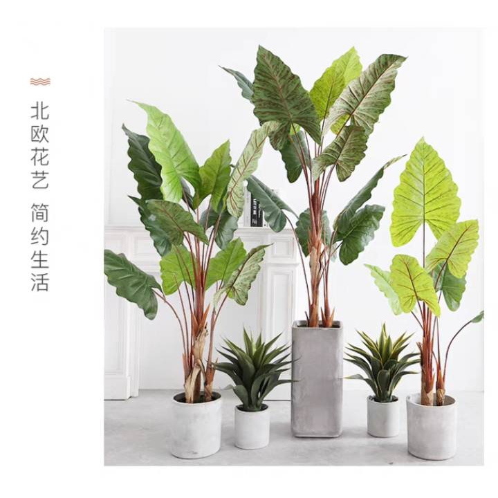 CT183D083 TROPACL ต้นไม้ปลอม ต้นไม้แต่งบ้าน