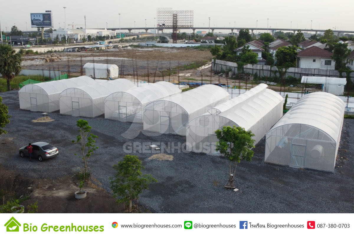 โรงเรือนจั่วโค้ง 5 หลัง จ.นนทบุรี