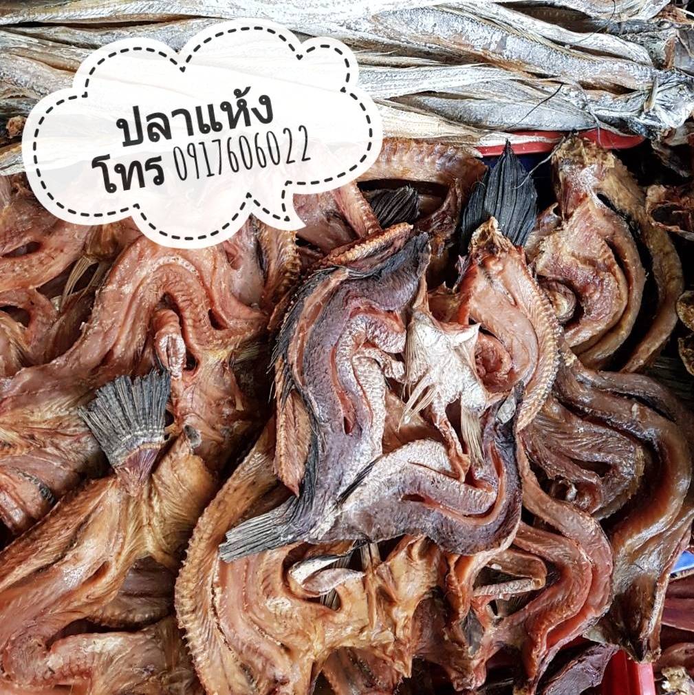 ปลาแห้ง ปลาช่อนแดดเดียว ปลาช่อนตากแห้ง ปลาแดดเดียว ปลาพม่า ปลาช่อนพม่า ปลาพม่าตากแห้ง ปลาตากแห้ง