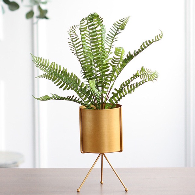 TS061J013 TROPACL กระถางขาตั้ง 3 แฉกสีทอง กระถางต้นไม้ กระถางสีทอง กระถางใหญ่ GOLD PLANT POT กระถาง กระถางทรงสูง