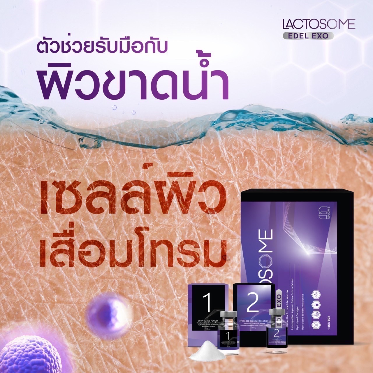 Lactosome สเต็มเซลล์หน้าเด็ก อย.ไทย