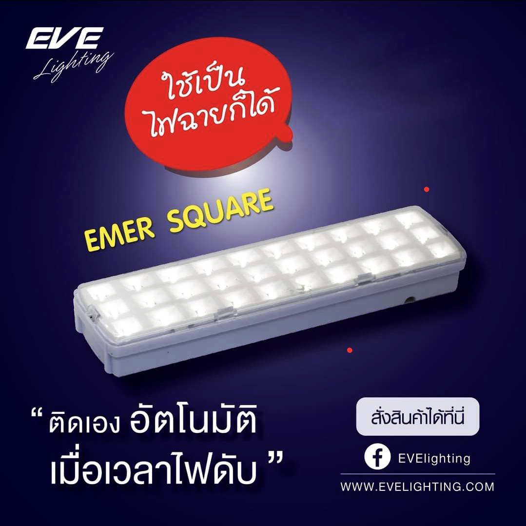 LED wallmount emer square 2w Daylight ไฟฉุกเฉินแอลอีดีขนาด 2 วัตต์ มีแบตเตอรี่ในตัว ไฟดับ หลอดไฟจะติดเองอัตโนมัติ พร้อมปลั๊กเสียบ ใช้งานง่าย
