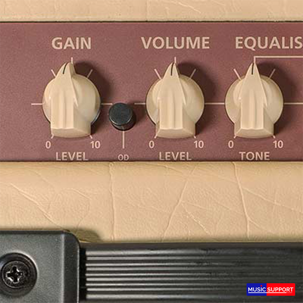 แอมป์กีตาร์ไฟฟ้า Blackstar Debut 15E