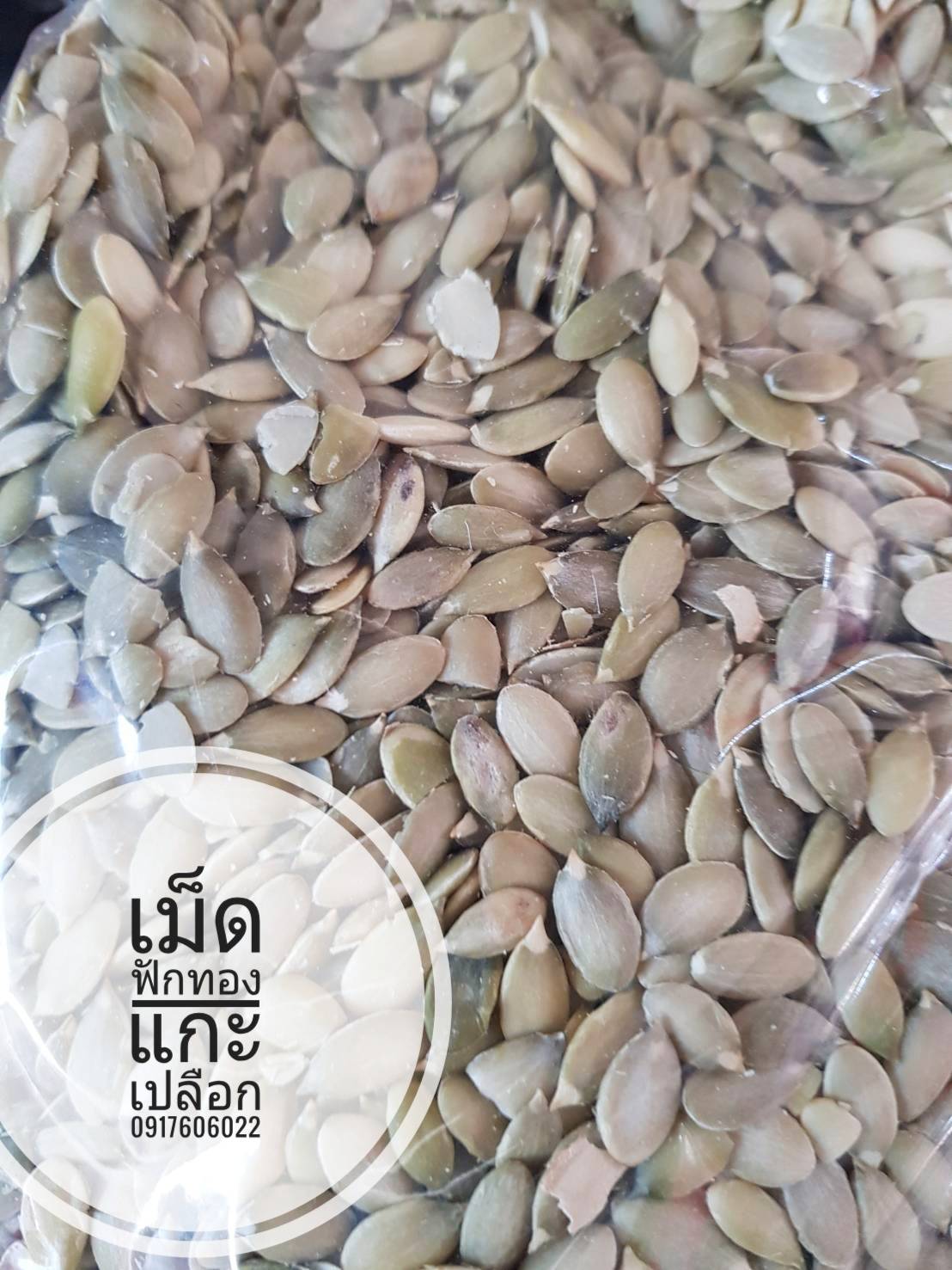 เม็ดฟักทอง เม็ดฟักทองดิบ เม็ดฟักทองอบ เม็ดฟักทองมีเปลือก เม็ดฟักทองอบแกะเปลือก แกะเปลือก ไม่มีเปลือก เม็ดฟักทองพร้อมเปลือก เม็ดฟักทองอบมีเปลือก เมล็ดฟักทอง เม็ดฟักทองดิบมีเปลือก มีทั้งแบบอบแล้ว และ แบบดิบค่ะ