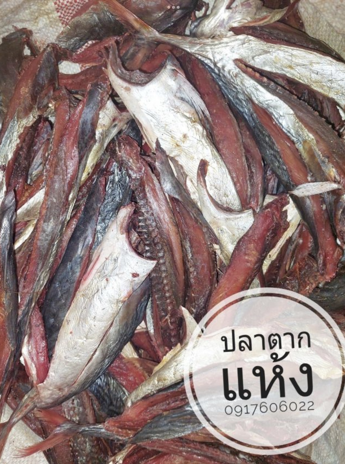 ปลาแห้ง ปลาช่อนแดดเดียว ปลาช่อนตากแห้ง ปลาแดดเดียว ปลาพม่า ปลาช่อนพม่า ปลาพม่าตากแห้ง ปลาตากแห้ง ปลาหัวยุ่ง ปลาทู ขายส่งปลาแห้ง