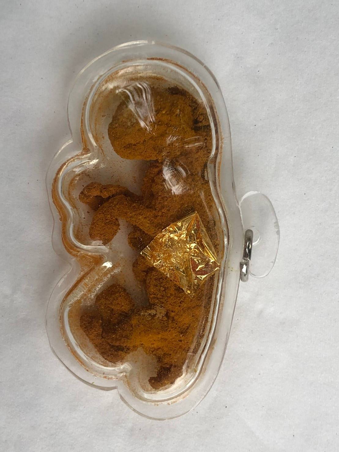 รกแมว ลูกกรอกแมว เครื่องรางของขลังด้านโชคลาภ