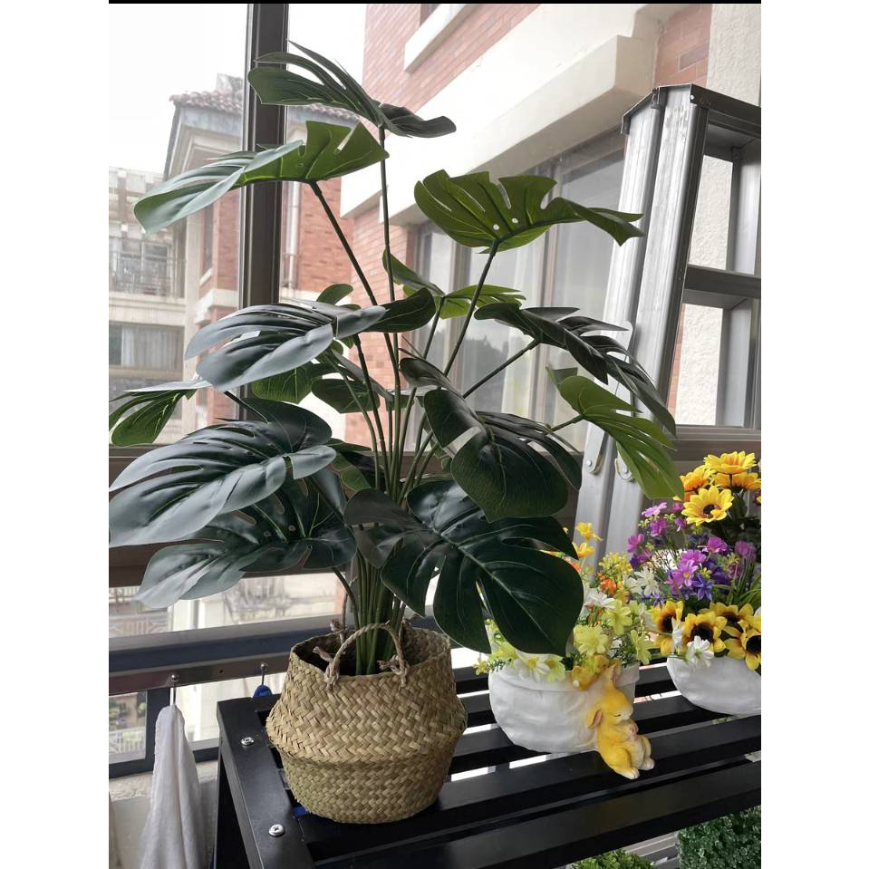 CT183D082 TROPACL ต้นไม้ปลอม ต้นไม้แต่งบ้าน