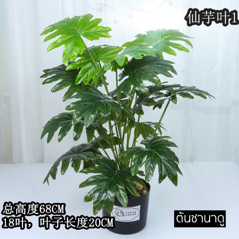 TS061J010 TROPACL ต้นไม้ปลอม ต้นไม้ประดับ ต้นไม้แต่งห้อง แถมกระถางดำ ARTIFICIAL PLANT ต้นซานาดู ต้นกวนอิม ต้นมอนสเตอร่า