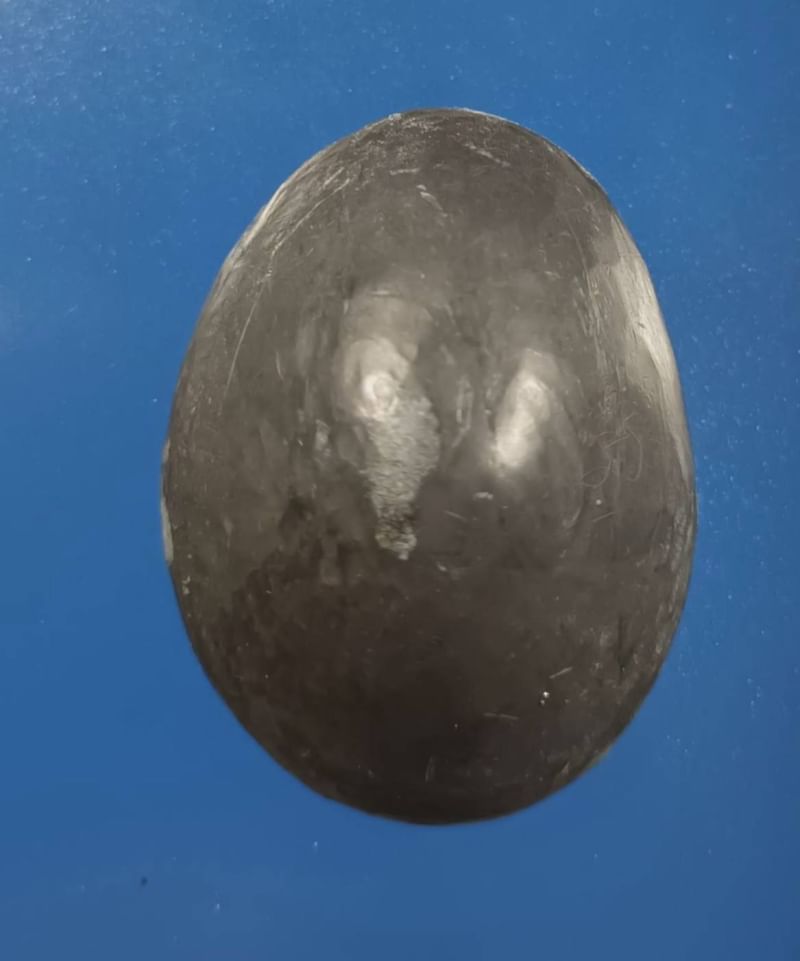 เบี้ยแก้เปลือย หลวงปู่เจือ ปิยสีโล วัดกลางบางแก้ว มีจารรอบเบี้ย ลายมือหลวงปู่เจือโดยตรง