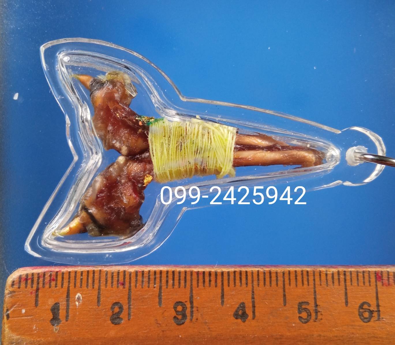 เดือยงูเหลือม เครื่องรางอาถรรพ์ ด้านโชคลาภ ทำมาหากิน และเสี่ยงโชค ลาภลอย ของแท้ต้องแบบนี้ครับ (โทรสอบถามครับ)