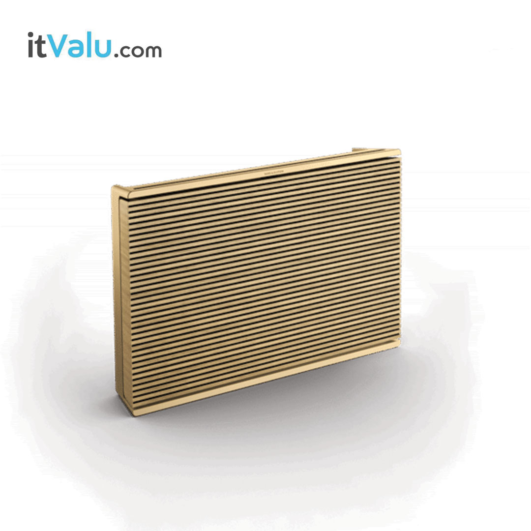 ลำโพงพกพา Beosound Level