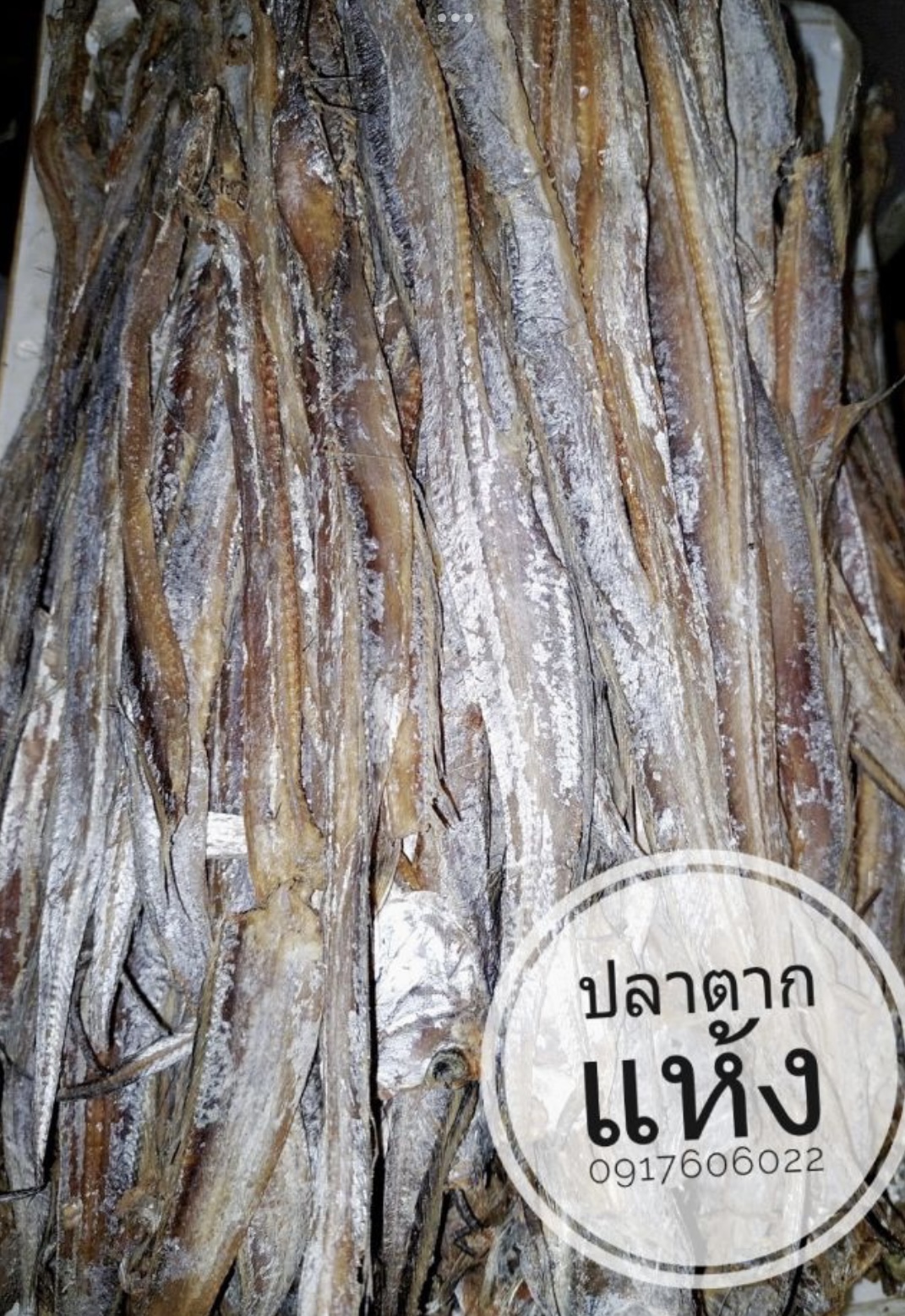 ปลาแห้ง ปลาช่อนแดดเดียว ปลาช่อนตากแห้ง ปลาแดดเดียว ปลาพม่า ปลาช่อนพม่า ปลาพม่าตากแห้ง ปลาตากแห้ง ปลาหัวยุ่ง ปลาทู ขายส่งปลาแห้ง