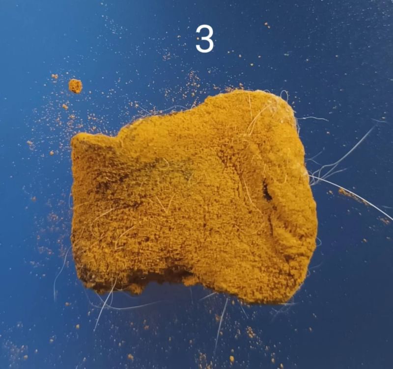 รกแมว เครื่องรางของขลังจากธรรมชาติ