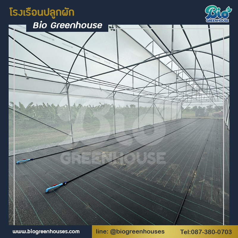 โรงเรือนจั่ว2ชั้น 6x20x4.5 ม. 2 หลัง จ.ลพบุรี