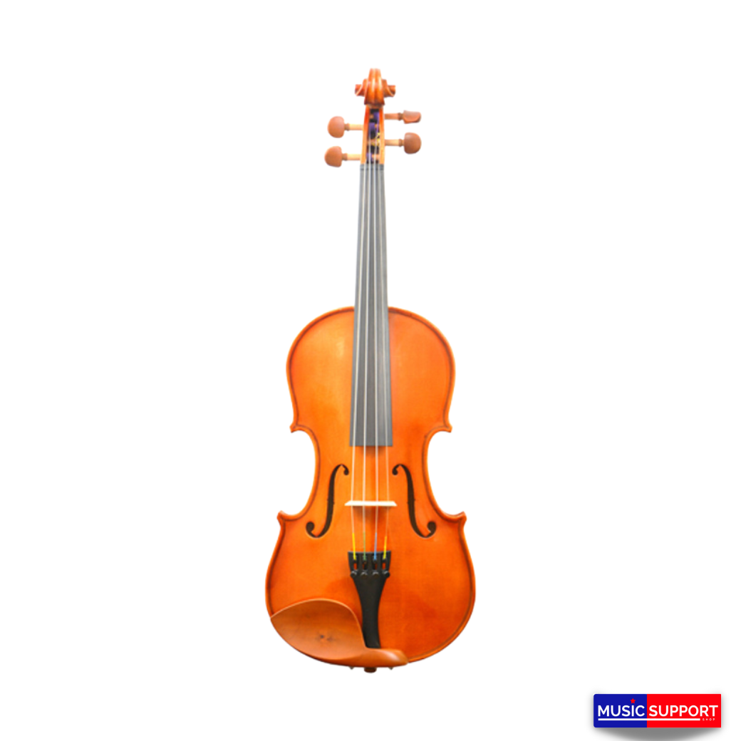 Synwin Handmade Violin Outfit SV3001 4/4