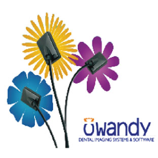 CCD SENSOR Owandy