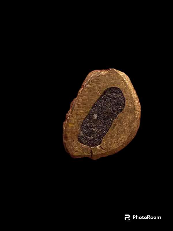 พระกริ่งคู่ชีวิต รุ่นหนึ่งในแผ่นดิน นวะโลกุตระธรรม เนื้อโสฬสมหาจักรพรรดิ์ธาตุเหล็กไหล หลวงปู่หมุนร่วมปลุกเสก