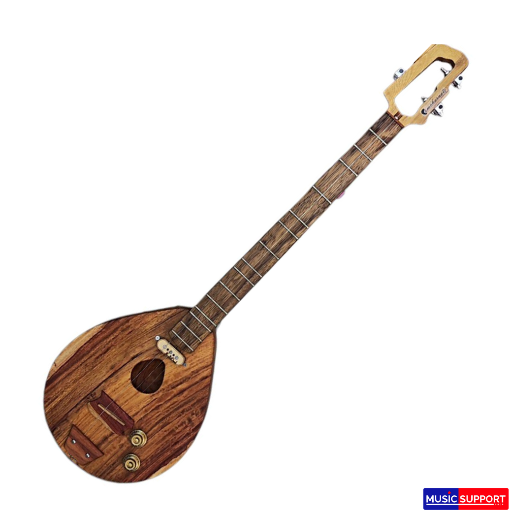 พิณโปร่งไฟฟ้าคำชะโนด รุ่น โพนพิสัย / PPS E