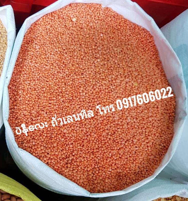 ถั่วเลนทิล lentils ถั่วเลนทิลแดง ถั่วห้าสี ถั่ว5สี ถั่วพม่า ถั่วพม่า ပဲနီလေး อาหารพม่า ขนมพม่า ของกินพม่า