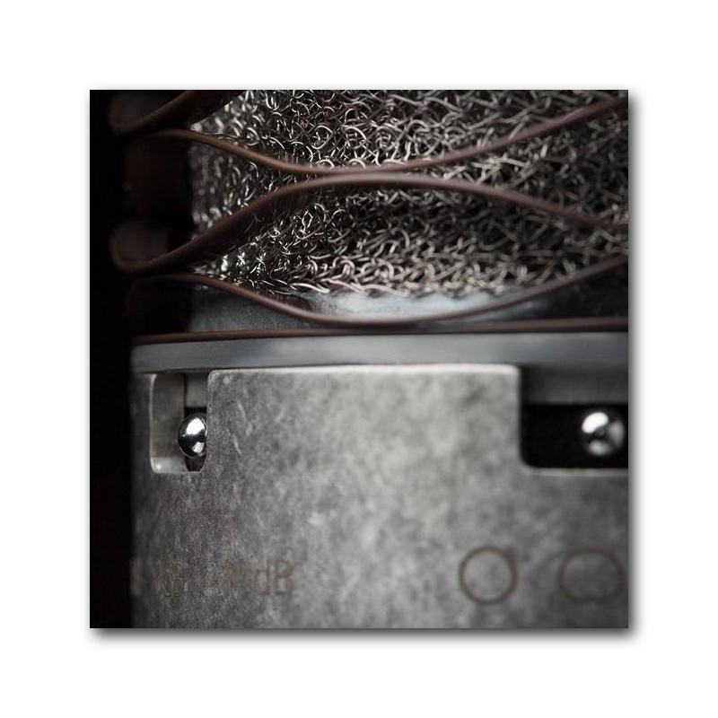 Aston Microphones Spirit Large Diaphragm Multi-Pattern Condenser Microphone