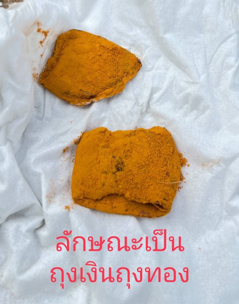 รกแมว เครื่องรางของขลังจากธรรมชาติ