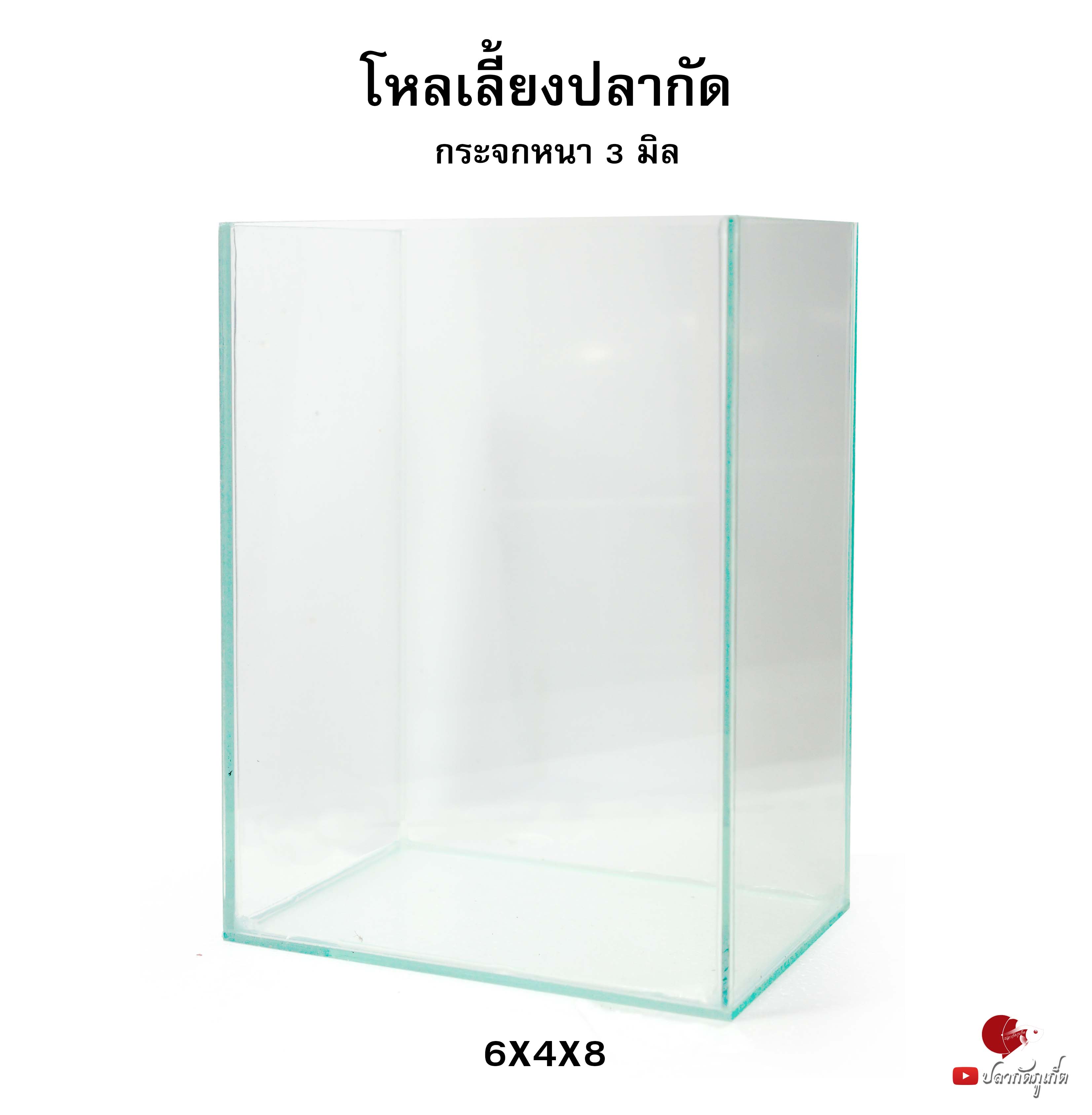 โหลปลากัด 4x6x8 นิ้ว