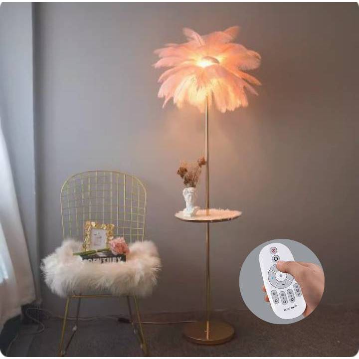 CT191A149 SOTMIA โคมไฟตั้งพื้นขนนกกระจอกเทศพร้อมรีโมท โคมไฟแบบชาร์จไฟได้ Feather โต๊ะกาแฟ Lamp