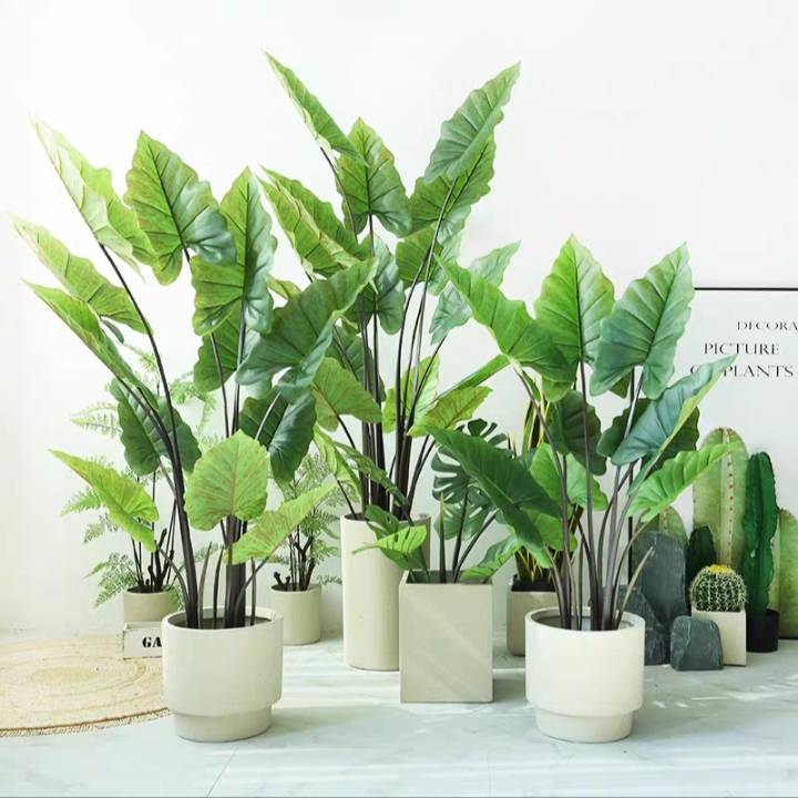 CT183D080 TROPACL ต้นไม้ปลอม ต้นไม้แต่งบ้าน ต้นไม้