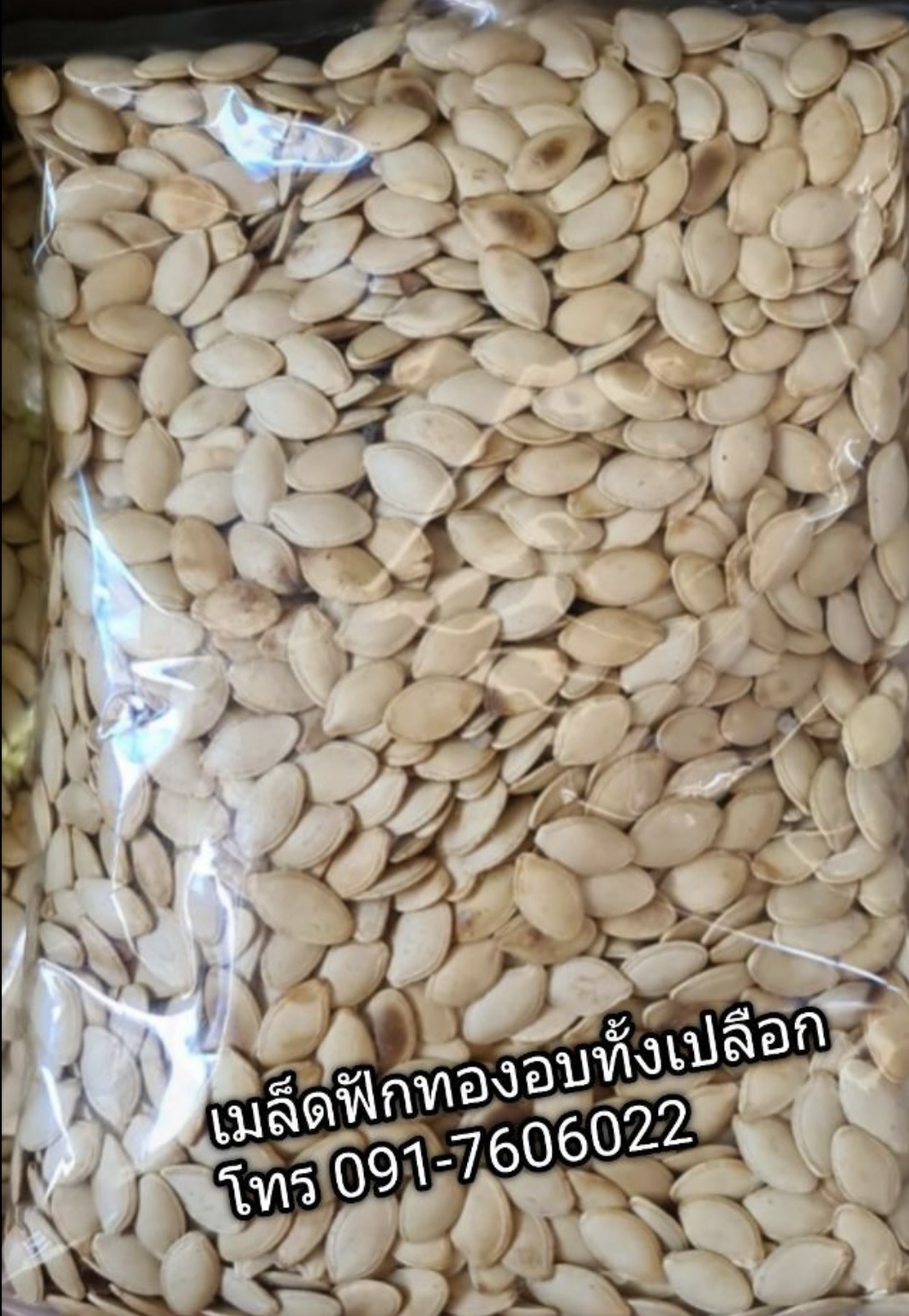 เม็ดฟักทอง เม็ดฟักทองดิบ เม็ดฟักทองอบ เม็ดฟักทองมีเปลือก เม็ดฟักทองอบแกะเปลือก แกะเปลือก ไม่มีเปลือก เม็ดฟักทองพร้อมเปลือก เม็ดฟักทองอบมีเปลือก เมล็ดฟักทอง เม็ดฟักทองดิบมีเปลือก มีทั้งแบบอบแล้ว และ แบบดิบค่ะ