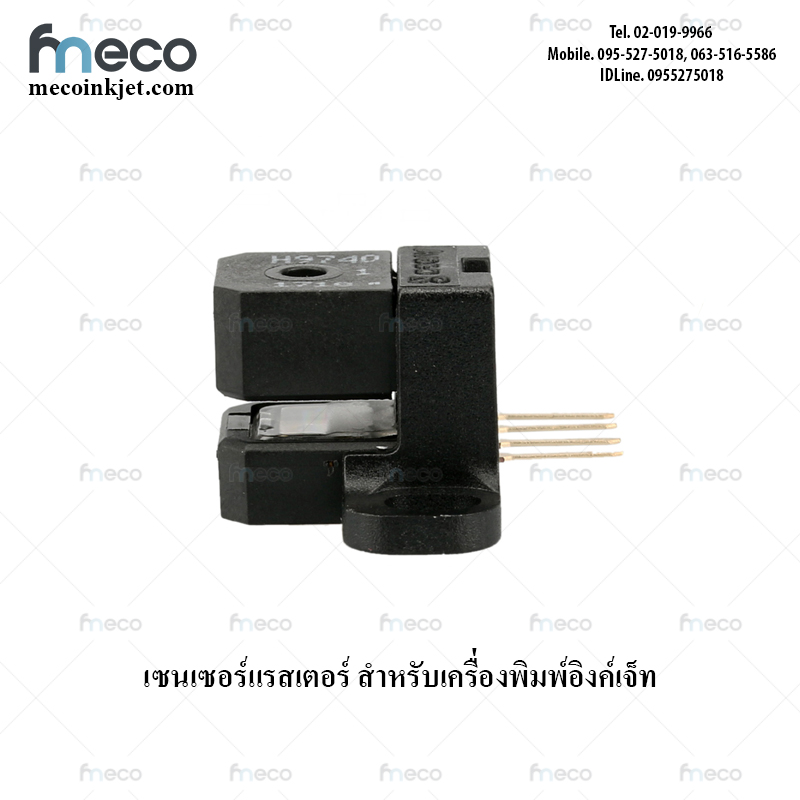 เซ็นเซอร์ แรสเตอร์