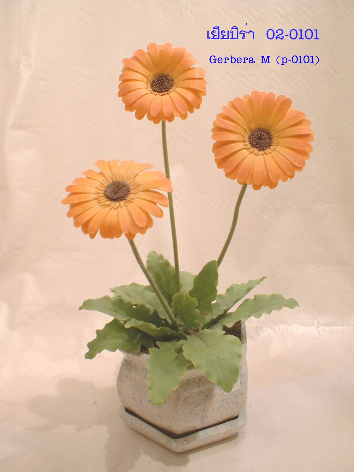 Gerbera (Medium)