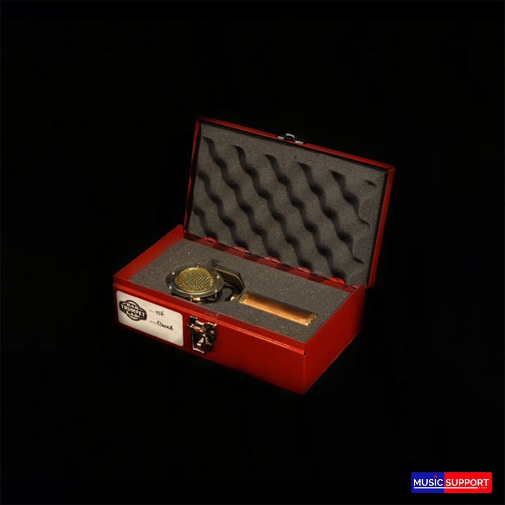 Ear Trumpet Labs EDWINA Condenser Microphone