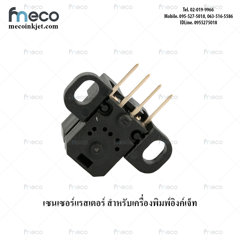 เซ็นเซอร์ แรสเตอร์