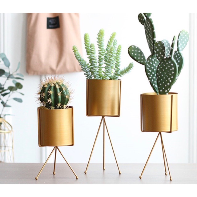 TS061J013 TROPACL กระถางขาตั้ง 3 แฉกสีทอง กระถางต้นไม้ กระถางสีทอง กระถางใหญ่ GOLD PLANT POT กระถาง กระถางทรงสูง