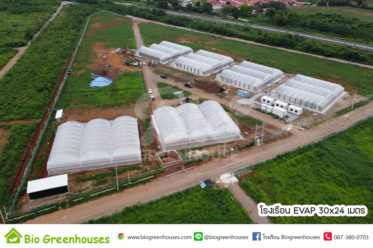 โรงเรือน EVAP 30x24 ม. สำหรับปลูกกัญชง มาพร้อมระบบต่างๆ