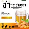 ชากระชาย ต้านเชื้อไวรัส สร้างภูมิต้านทาน กันเชื้อลงปอด