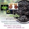 Sesamin เซซามิน ลดข้ออักเสบ ตับอักเสบ ปอดอักเสบ มะเร็ง