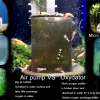 ปั้มลมออกซิเจน VS Oxydator