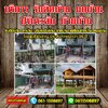 บริการรับเหมาดีดบ้าน098-2459860 รับยกบ้าน เลื่อนบ้าน บ้านไม้ บ้านปูน โบสถ์ เมรุ ศาลาวัด อาคาร โรงเรียน