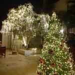 ต้นคริสต์มาสประดับไฟ