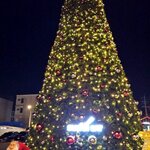 ต้นคริสต์มาส"ทรงสน"ขนาด25ฟุต