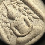 พระสมเด็จปรกโพธิ์ หลวงปู่มหาศิลา