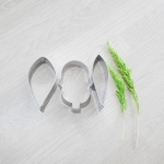 C. warscewiczii S (Large)